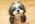 wenwen20000821